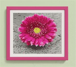 Photograph of product.